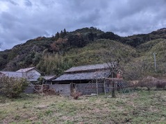 PXL_20221201_074659274