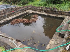 PXL_20240404_033232227