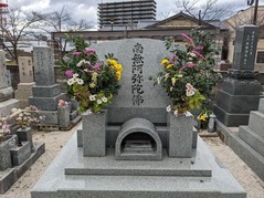 PXL_20221201_042454397