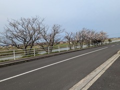 PXL_20260408_230347366