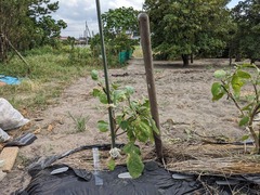 PXL_20230810_081144799