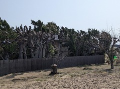 PXL_20230307_023534799