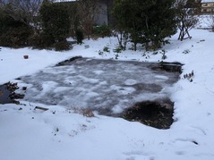 PXL_20230125_230113009