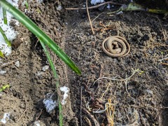 PXL_20250224_013610298