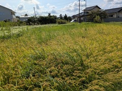 PXL_20250824_000217568.MP