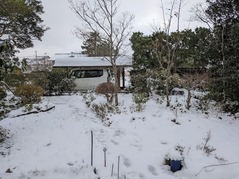 PXL_20211226_231439830.MP