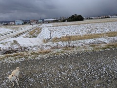 PXL_20260129_230751949