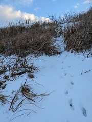 PXL_20240124_223601779