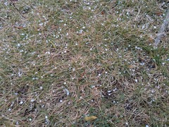 PXL_20251203_071034024