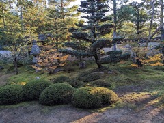 PXL_20231122_065244938