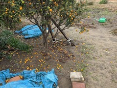 PXL_20221224_010757281