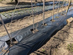 PXL_20250214_020431752.MP