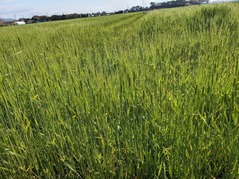 PXL_20220402_001452465