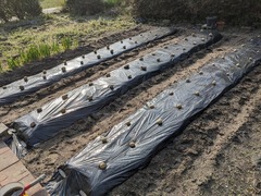 PXL_20240304_000742811