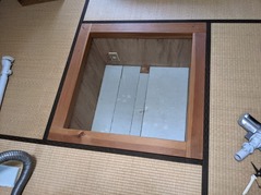 PXL_20210606_054112309 (1)