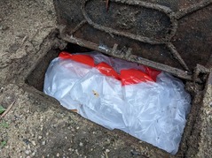 PXL_20230123_225216247