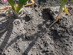 PXL_20250314_015412972