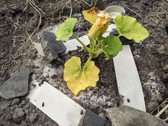 PXL_20230604_074557016