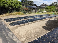 PXL_20221012_050629009.MP