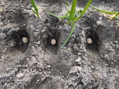 PXL_20250307_234045905.MP