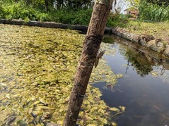 PXL_20230414_010500835