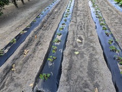 PXL_20251117_000108260