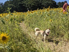 PXL_20240812_052609443