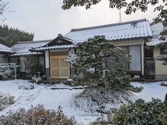 PXL_20211225_231504266