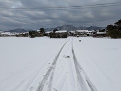 PXL_20260208_235113138