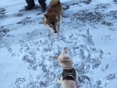 PXL_20240123_221110644