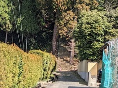 PXL_20230311_014459459.PORTRAIT