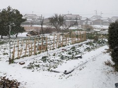 PXL_20220216_231235257