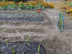 PXL_20251203_232614480.MP