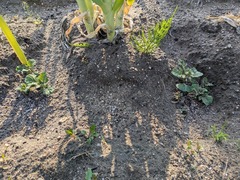 PXL_20250413_223411743