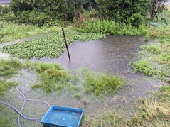 PXL_20230707_232917089