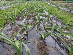 PXL_20211225_004109377