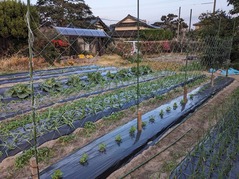 PXL_20221201_081429101