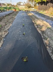 PXL_20221120_232556846.MP