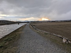 PXL_20250206_225147071