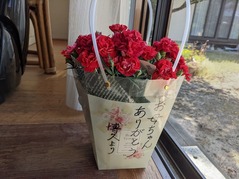 PXL_20220507_001124201