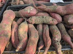 PXL_20240908_232700024