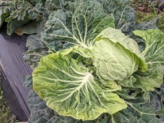 PXL_20220207_072023900