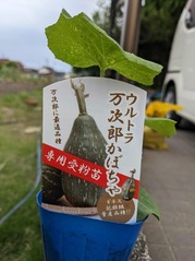 PXL_20230526_071552098