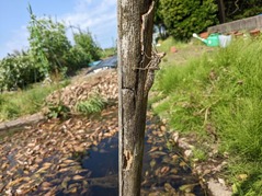 PXL_20220502_010126243.MP