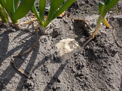 PXL_20250314_015343575