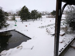 PXL_20250207_223303218