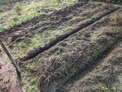 PXL_20240205_235338346