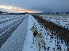 PXL_20240124_222510119