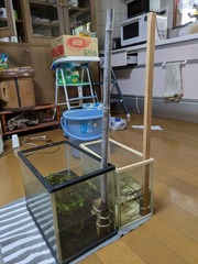 PXL_20250829_234348621