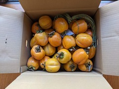 PXL_20231103_014015751